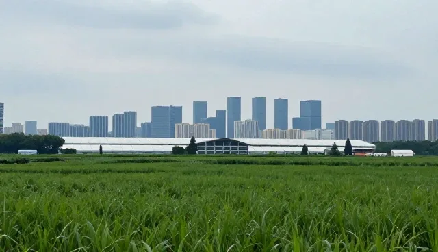 团队管理中的常见问题及解决要点